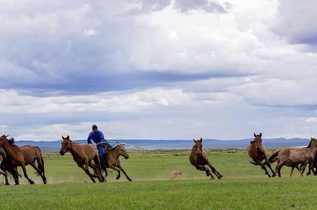 Essence of Mongolia 5 Days