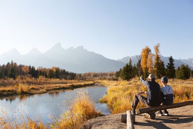 From Jackson: Full-day Grand Teton Wildlife and Scenery Tour with Lunch