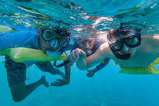 Boat and Snorkeling in West End (Blue Channel, The Aquarium, Turtle Crossing)