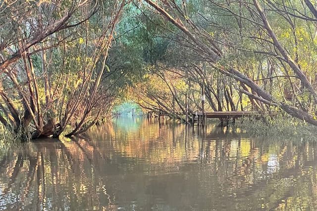 Customized Tigre Delta Tour lunch and drink included