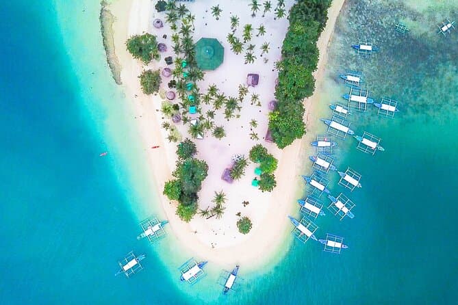 Compare Best Honda Bay Island Hopping Tours