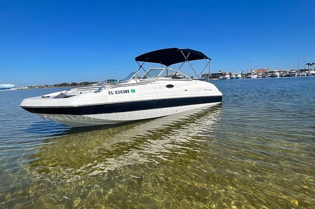 Private Boat and Dolphin Watching in Florida