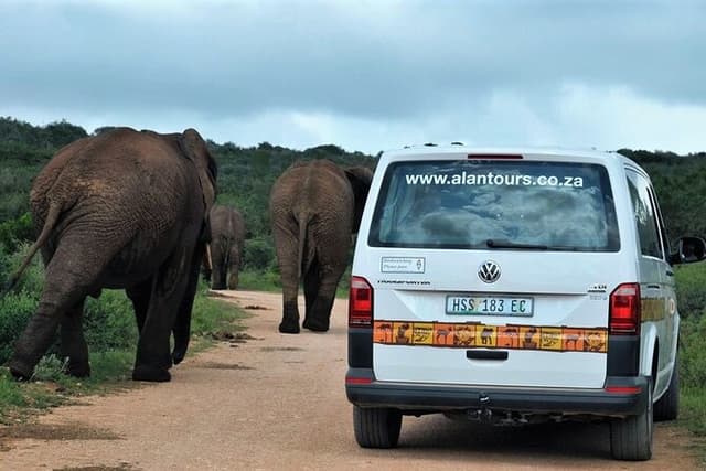 Addo Elephant National Park from Port Elizabeth - FD01