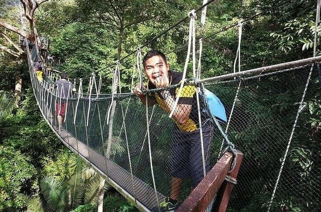 Forest Research Institute Malaysia FRIM Rainforest Private Tour 