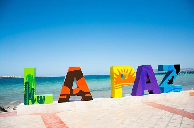 Compare Top La Paz Beach Tours in Cabo