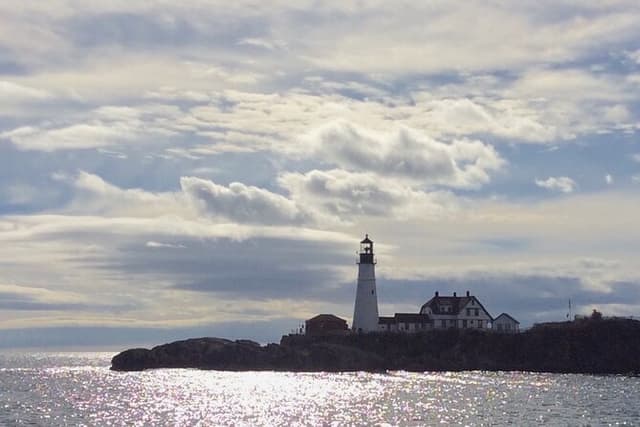 Harbor Lights and Sights Cruise