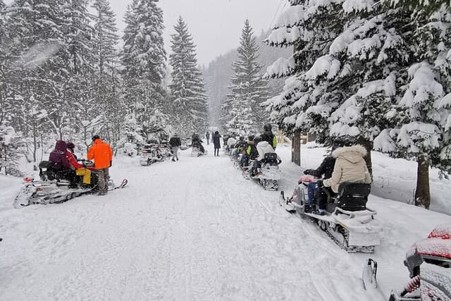 Bucharest: Snowmobile or ATV Quad Bike Tour Carpathian Mountains