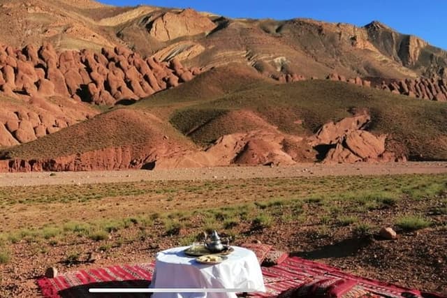 Private half-day mountain bike tour discover Palmeraie Skoura