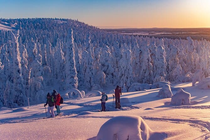 Explore Arctic Wilderness: Rovaniemi Snowshoeing Tour
