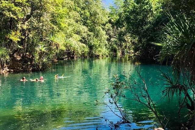 Berry Springs + Crocodile Cruise