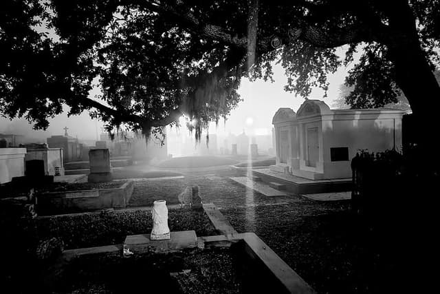 After Dark Haunted New Orleans City and Cemetery Bus Tour