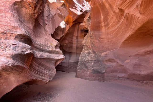 Mountain Sheep Canyon & Horseshoe Bend Tours - Arizona Tours
