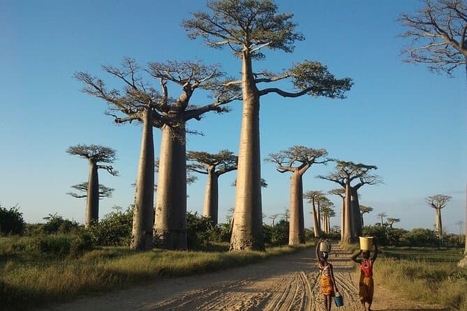 Unforgettable Tsiribihina River Safari & Camping Tours