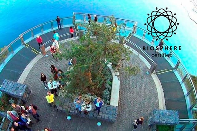Skywalk, Amazing Views & Wine Tasting in Open Roof 4x4 Adventure