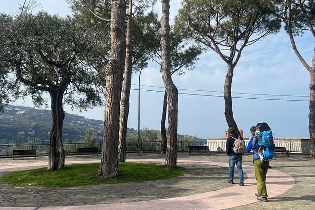 2 Hours Tour: From the Hills to the Sea of Sorrento