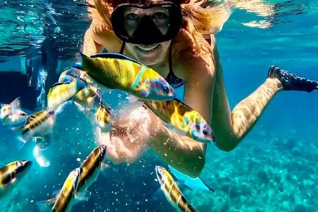 Tropea & Capo Vaticano Boat Tour with Snorkeling. Up to 12 Guests