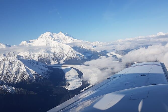 Best Denali National Park Tours & Sightseeing Adventures