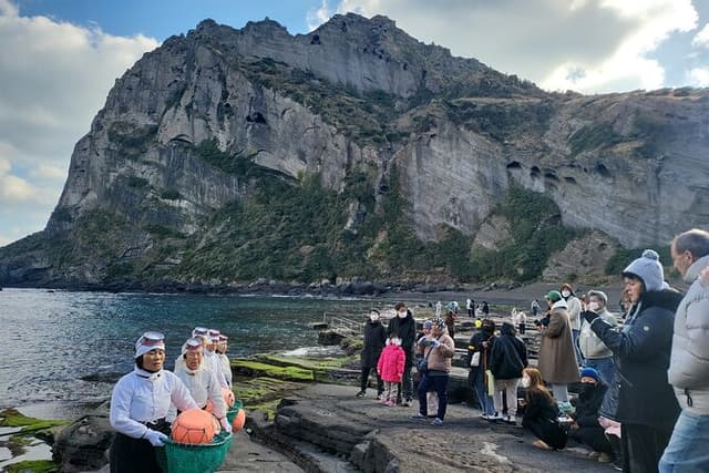 Private Tour included Lunch & Entrance fee in Jeju island