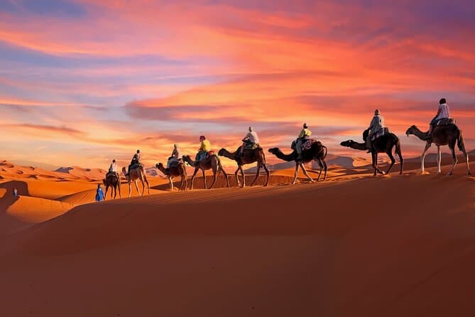 Authentic Douz Camel Treks & Sahara Desert Adventures