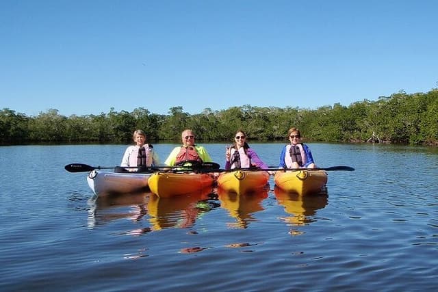 Fort Myers Beach: 1 Hour Guided SUP/Kayak Experience
