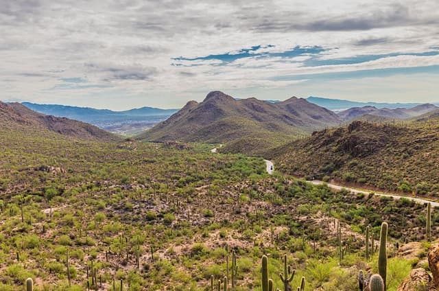 Saguaro National Park Self-Guided Audio Tour