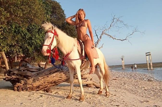 Top-Rated Horseback Rides on Gili Air