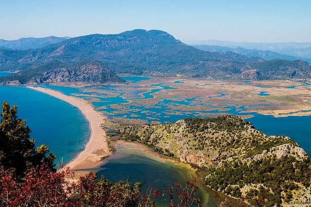 Bodrum Turtle Beach Tour With Mud Baths & King Tombs