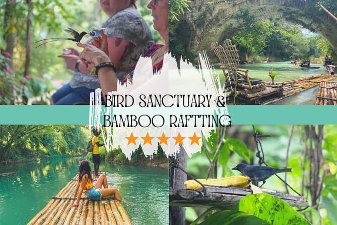 Best Rockland Bird Sanctuary Tours in Montego Bay