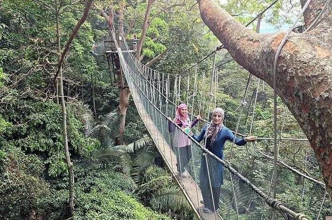 Explore FRIM Rainforest KL Tours