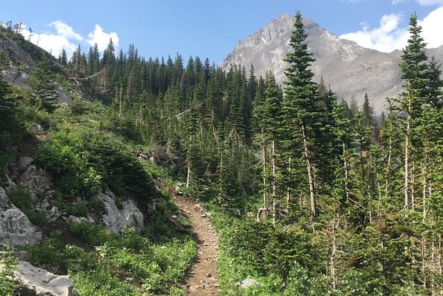 Paget Lookout and Sherbrooke Lake
