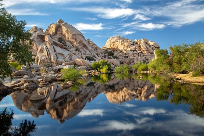 Joshua Tree National Park Tour - Palm Springs