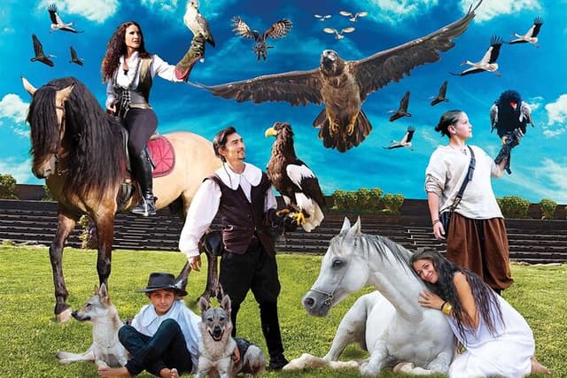 Skip the Line: Falconeria Locarno Ticket
