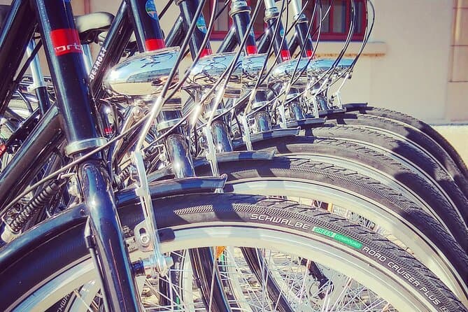 Best Heidelberg Cycling Adventures & Sightseeing Tours