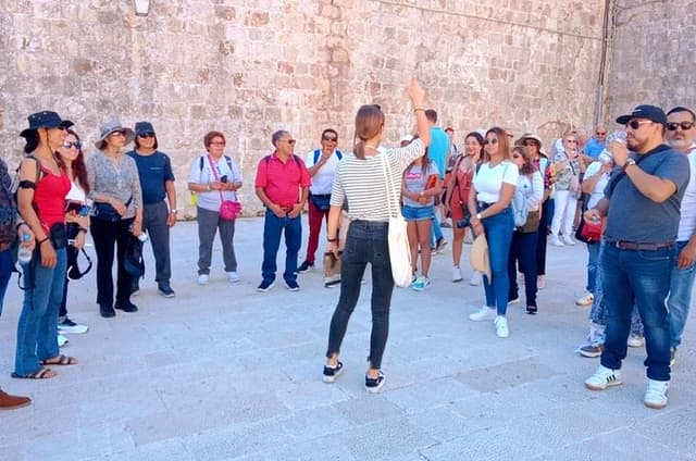 Dubrovnik Old Town Walking Tour