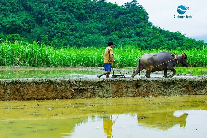 Best Pu Luong Nature Reserve Tours & Hanoi Getaways