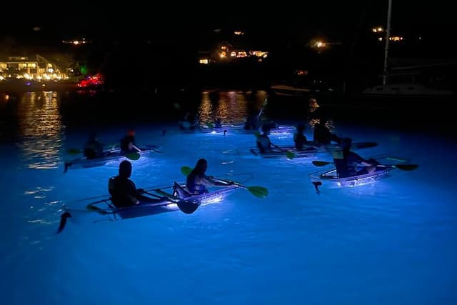 Night Kayak Tour St. John - Westin Resort