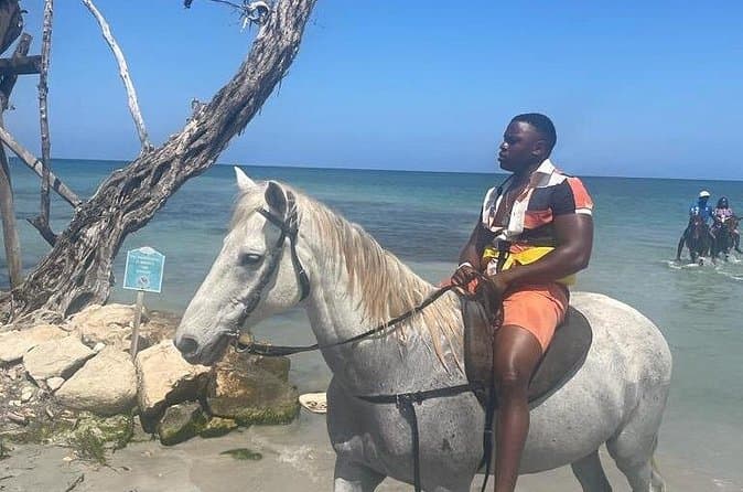 Montego Bay: Dunns River & Horseback Tours