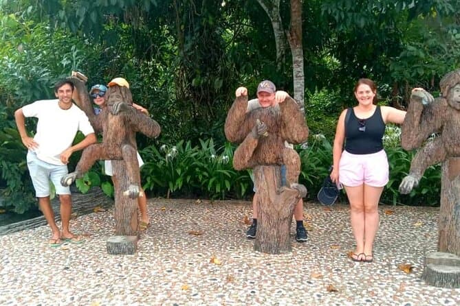 Best Sepilok Orangutan Tours & Sandakan Wildlife Adventures