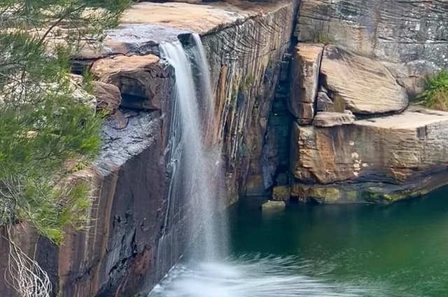 Royal National Park Hike, Swim and Wildlife Tour