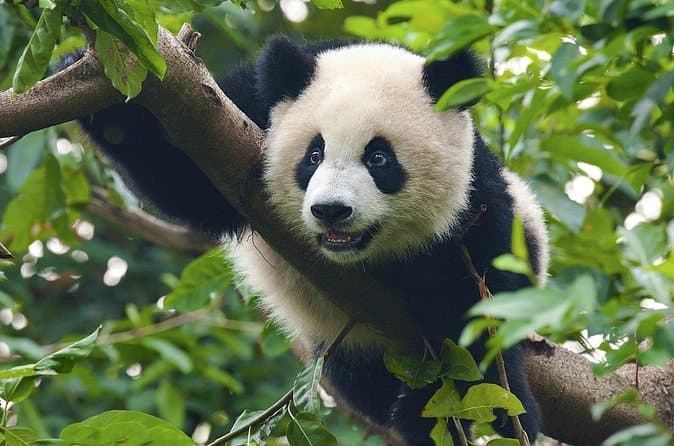 Beijing & Beyond: Golden Triangle Tours