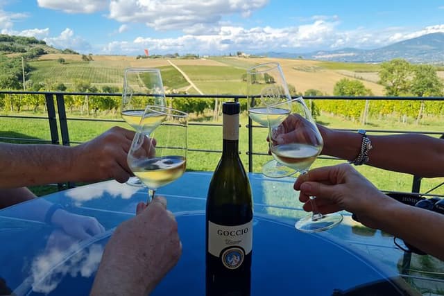 Montefalco Wine Tour with Farm-to-Table Lunch (2 Wineries)