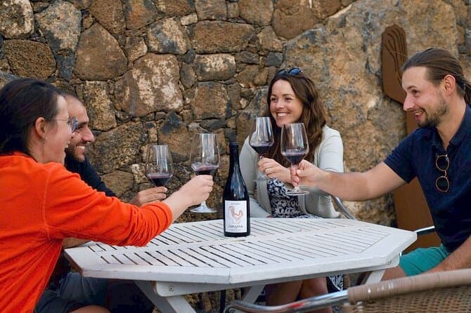 Authentic Wine Tasting & Conatvs Winery Tour Experience