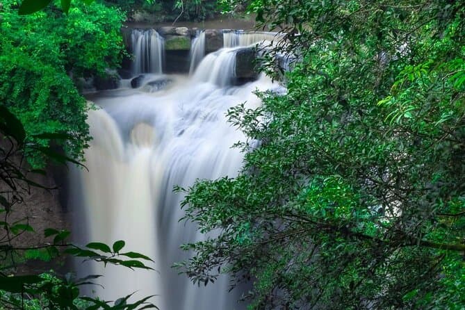 Best Khao Yai National Park Day Trips & Nature Tours