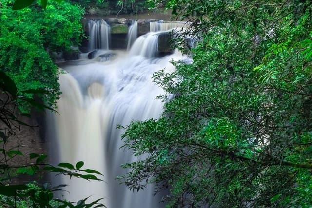 Khao Yai National Park Full-Day From Bangkok - Including Ticket