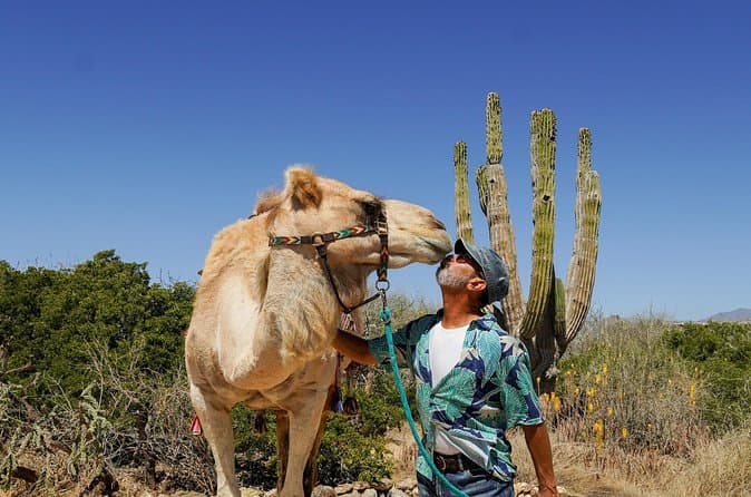 Compare Top-Rated Todos Santos Adventures