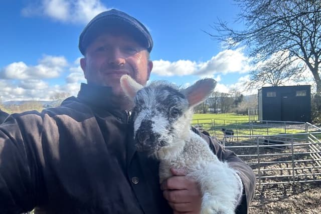 Sheep Farm, Glendalough, Wicklow mountain summit whiskey tasting