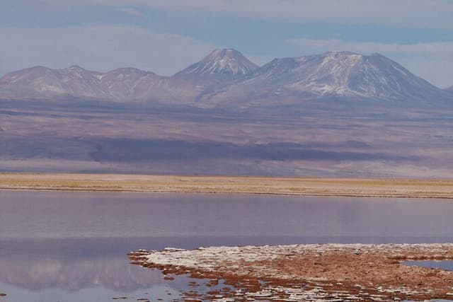 Private Tour to Cejar Lagoon, Ojos del Salar and Tebinquiche Lagoon