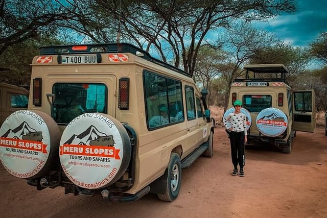 4 Days Tarangire Serengeti and Ngorongoro Crater mid range tour