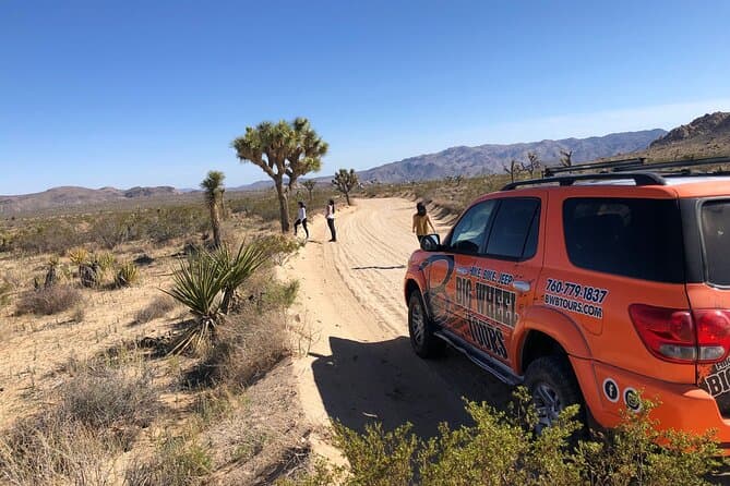 Best Joshua Tree Tours from Palm Springs
