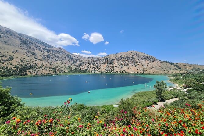 Authentic Cretan Wine Tasting & Vineyard Tours in Chania